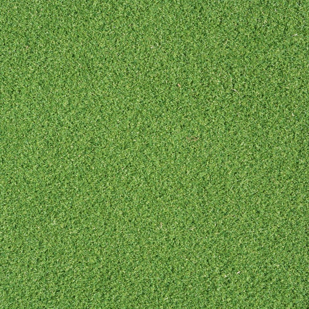 Close up shot of putting green turf.