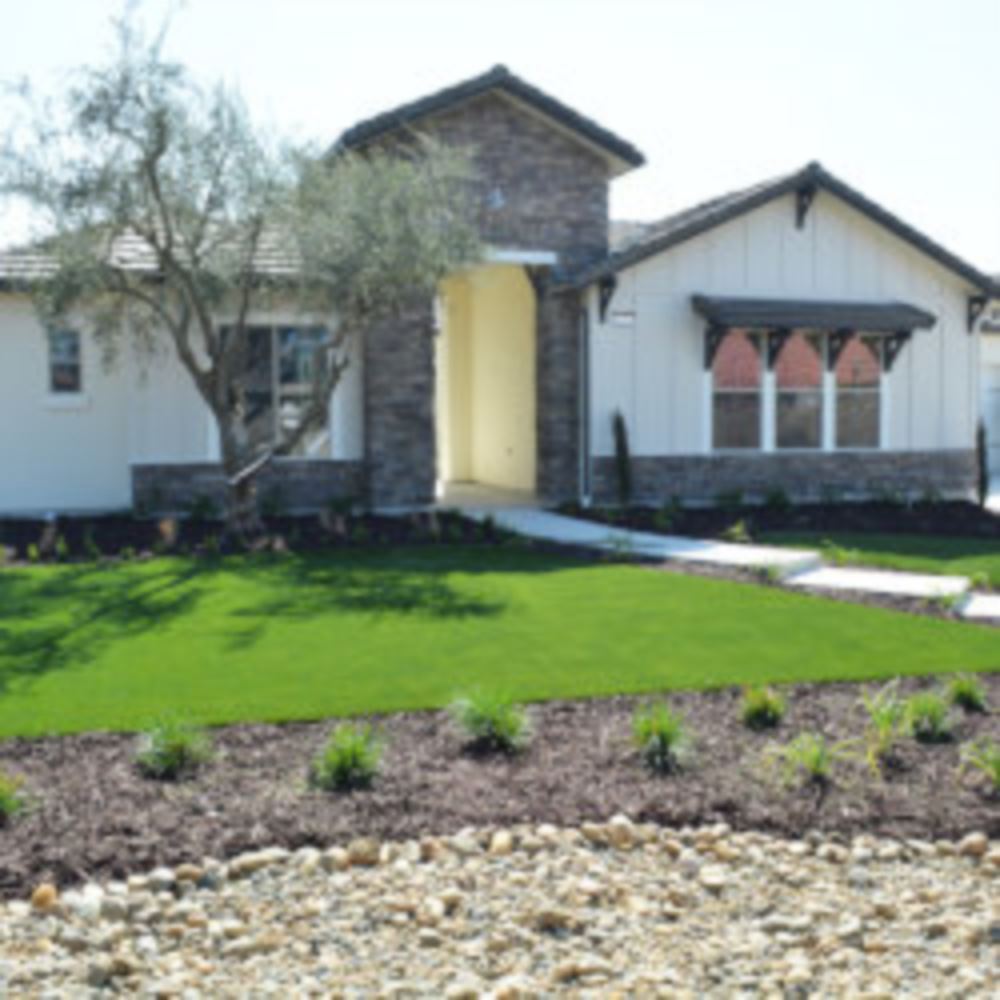 Artificial Lawn Maintenance Tips in Toronto